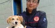 Minarede mahsur kalan köpek kurtarıldı
