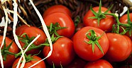Rusya Türkiye den aldıgı domates kotasını artırdı