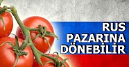  Türk domatesi ekimde Rus pazarına dönebilir
