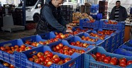 Çiftçi Rus pazarının açılmasını bekliyor 