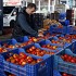 Çiftçi Rus pazarının açılmasını bekliyor 
