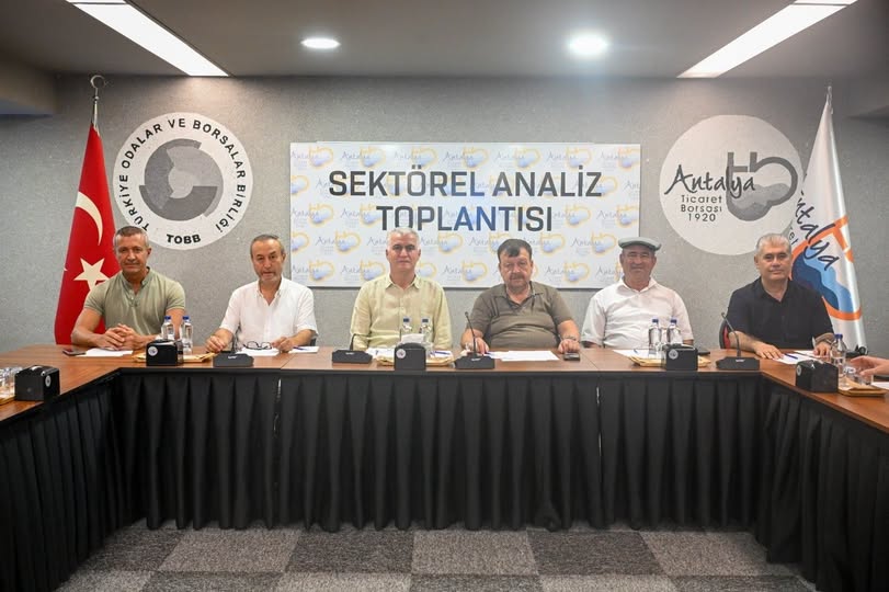 Zeytinde rekolte beklentisi yüzde 40 arttı