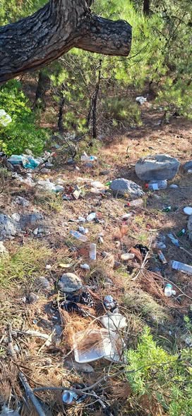 Kaş'ta ormanlık alan çöplüğe döndü