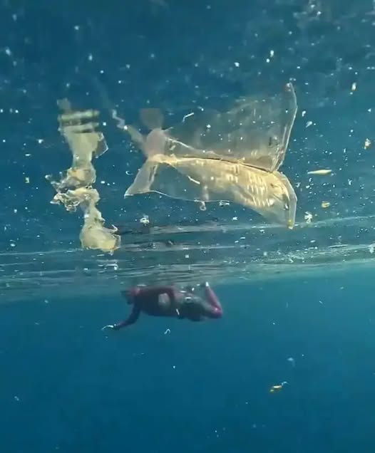 Antalya'nın Mavi Bayraklı Kıyılarında Büyük Alarm! Mikroplastik Tehdidi Turizmi de Vuruyor